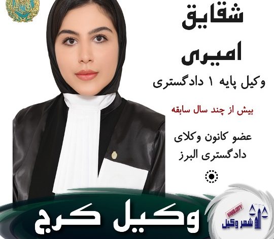 شقایق امیری