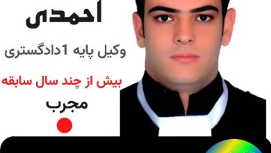 حامد احمدی