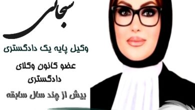 هدی سبحانی⚖️وکیل تهران