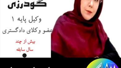 مریم گودرزی