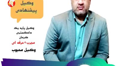 علی ملائی دامنه وکیل پایه یک دادگستری کرمان