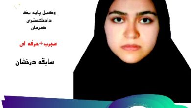 فاطمه شمس الدینی وکیل پایه یک کرمان
