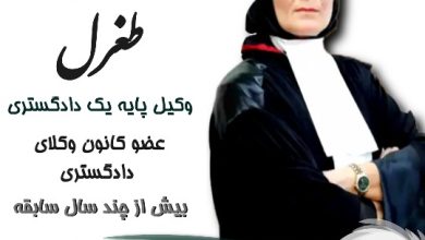 آرام طغرل⚖️وکیل تهران