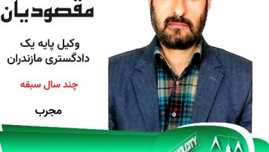 ایرج مقصودیان