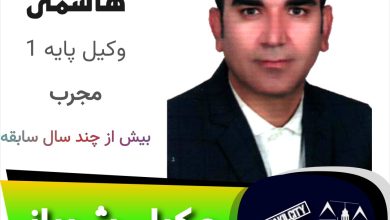 بهمن هاشمی