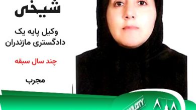 طیبه شیخی