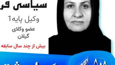 فرزانه سیاسی‌فر