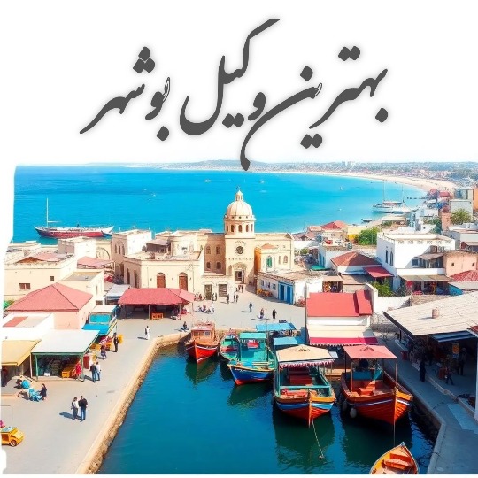 بهترین وکیل بوشهر