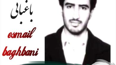 اسماعیل باغبانی وکیل فریدونکنار