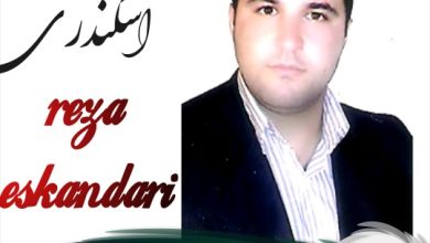 رضا اسکندری وکیل قائمشهر