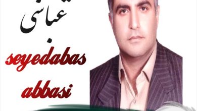 سیدعباس عباسی وکیل فریدونکنار