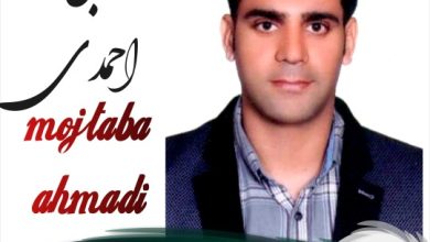 مجتبی احمدی وکیل فریدونکنار