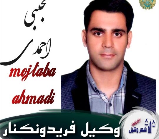 مجتبی احمدی وکیل فریدونکنار