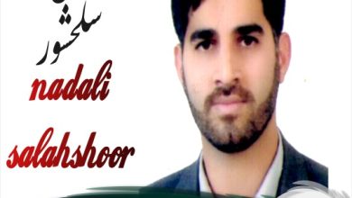 نادعلی سلحشور وکیل فریدونکنار