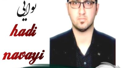 هادی نوایی وکیل رامسر