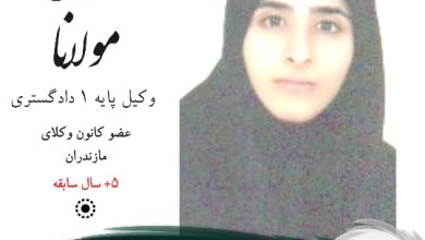 شقایق مولانا