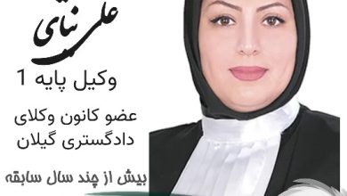 انسیه علی نیای