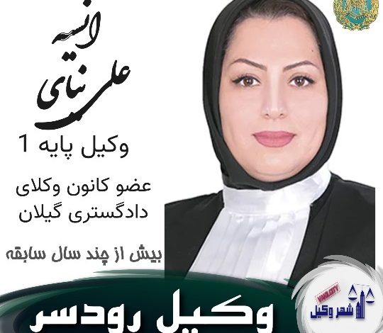 انسیه علی نیای