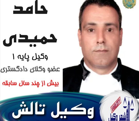 حامد حمیدی وکیل