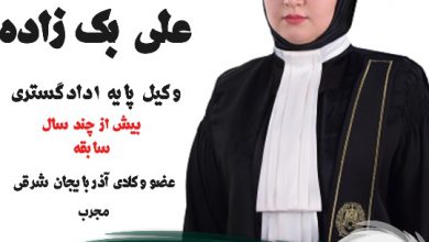 زینب علی بک زاده وکیل