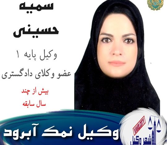 سمیه حسینی وکیل
