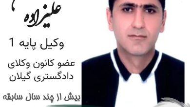 محسن علیزاده