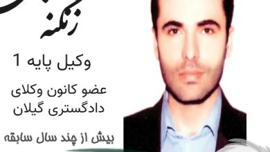 محمد حبیبی زنگنه