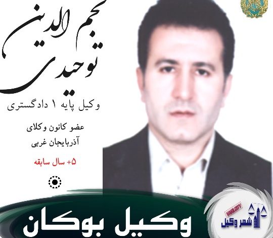 نجم الدین توحیدی وکیل