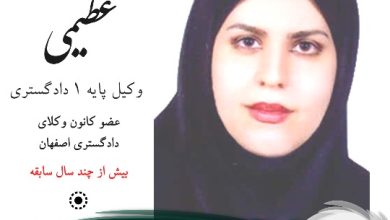 نیلوفر عظیمی وکیل