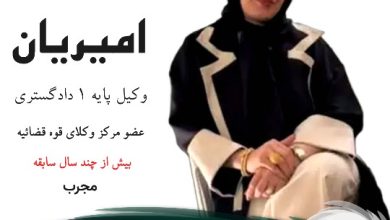 صدیقه امیریان وکیل گناوه